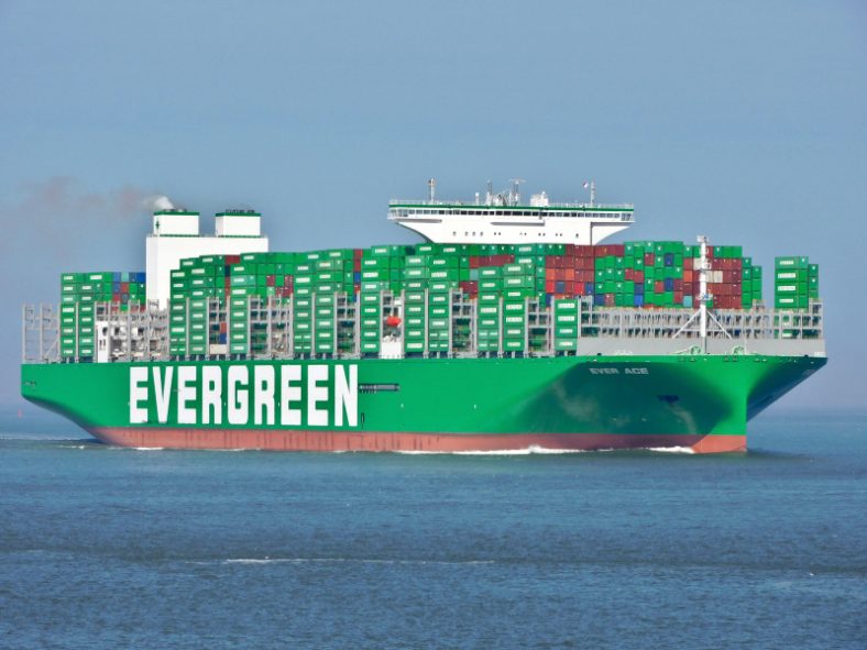 Evergreen Ever Ace